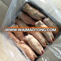 Frozen Pork Feet